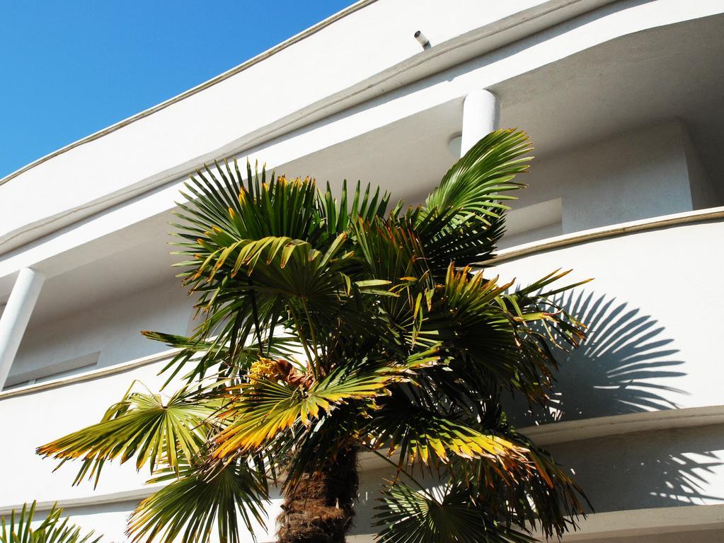 Apartment Klara Pula Dış mekan fotoğraf